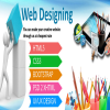 Internet Website Designers